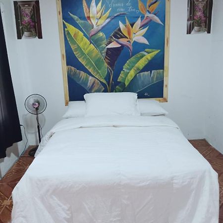 Blackout Hostel La Fortuna 외부 사진