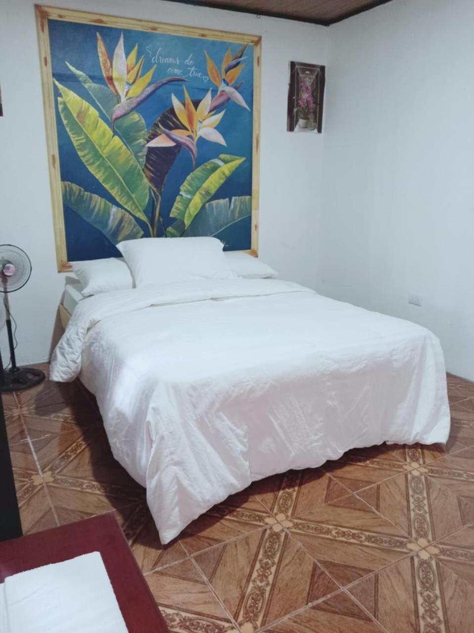 Blackout Hostel La Fortuna 외부 사진