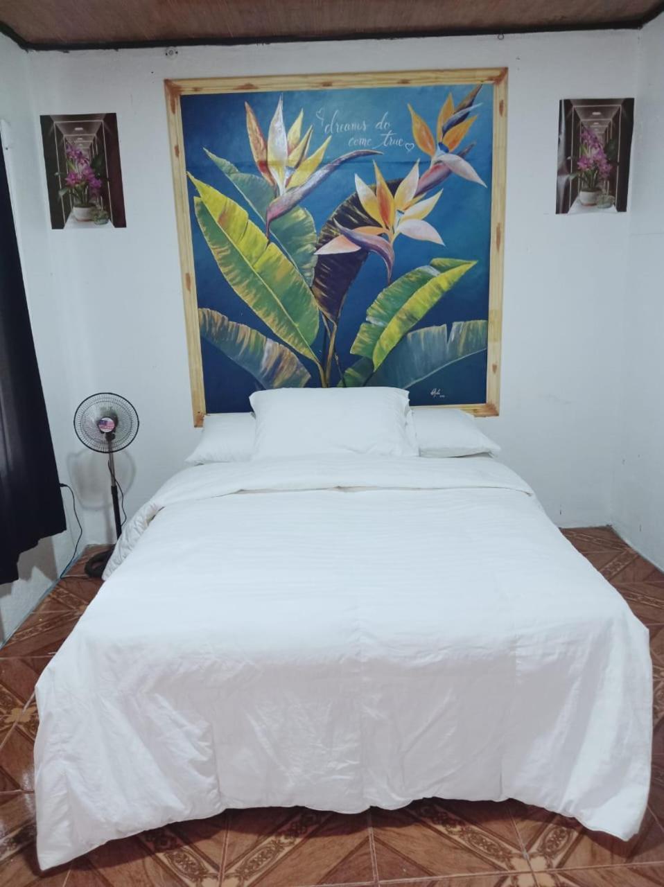Blackout Hostel La Fortuna 외부 사진
